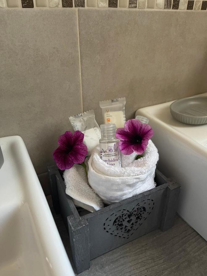 Antico Casale Il Sambuco Bed & Breakfast