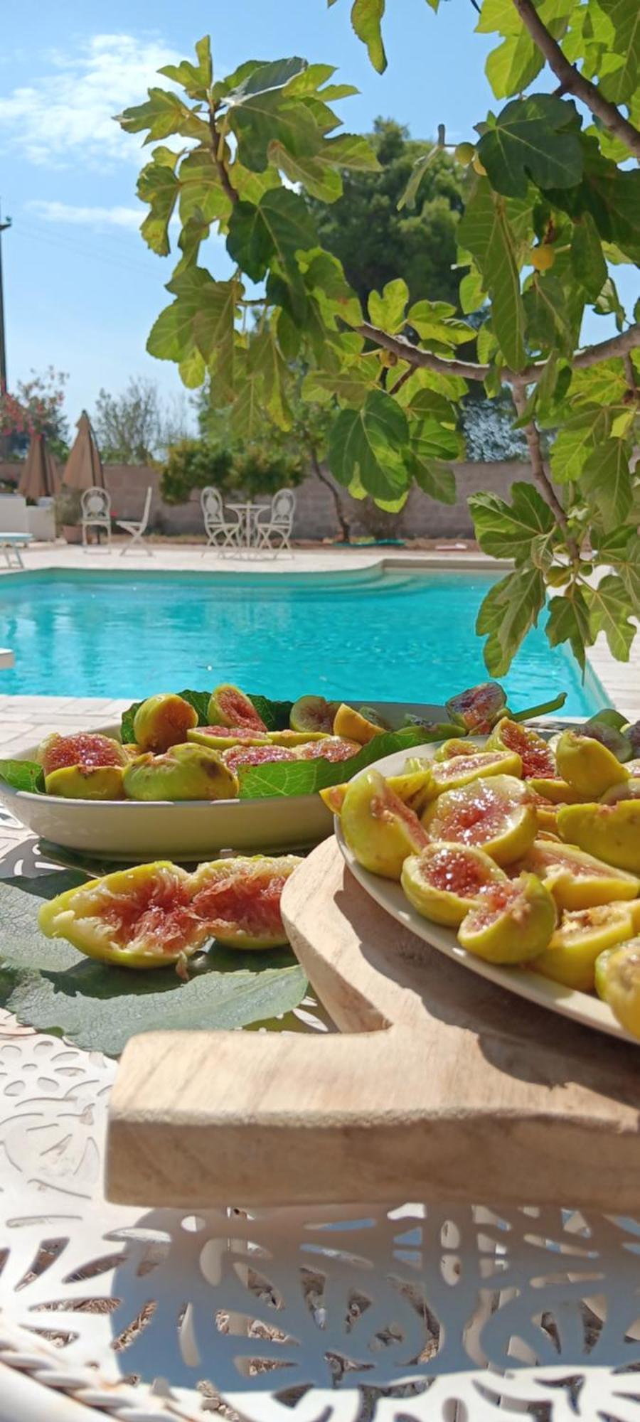 Antico Casale Il Sambuco Bed & Breakfast
