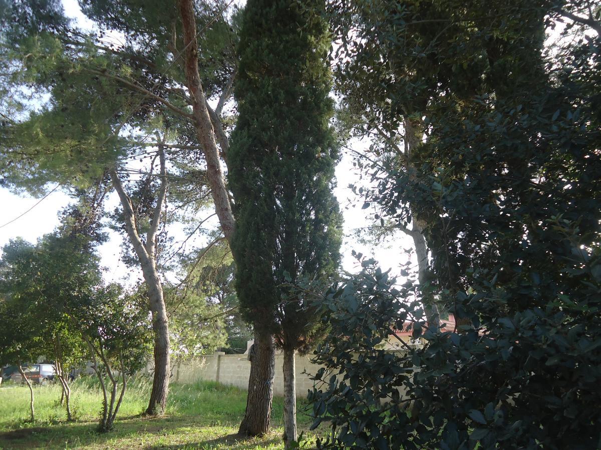 Antico Casale Il Sambuco