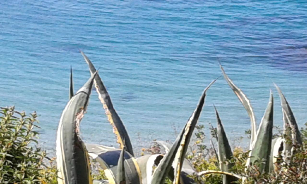 Antico Casale Il Sambuco *